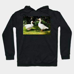 Two White Geese - Each Goose Looking At The Other Hoodie